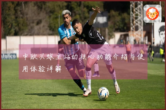 中欧买球主站的核心功能介绍与使用体验详解