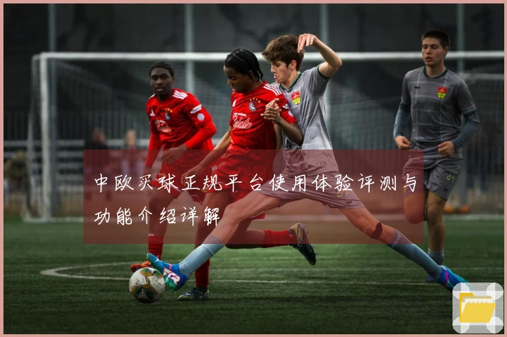 中欧买球正规平台使用体验评测与功能介绍详解