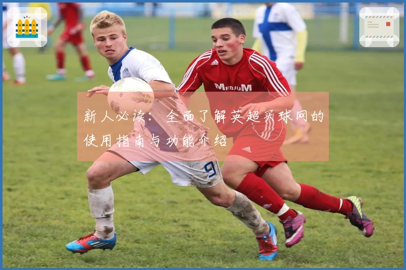 新人必读：全面了解英超买球网的使用指南与功能介绍