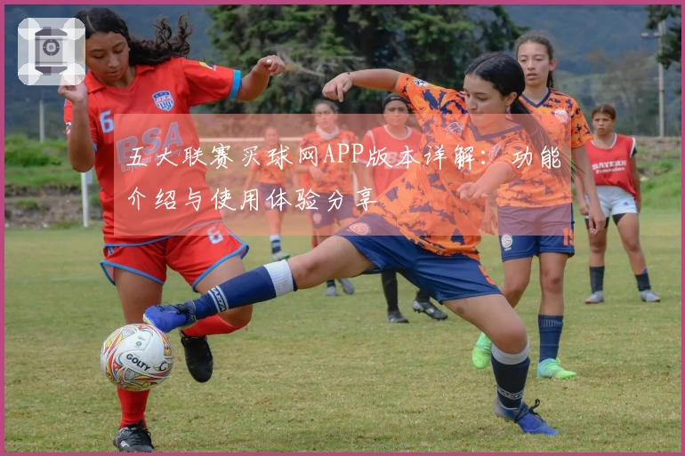 五大联赛买球网APP版本详解：功能介绍与使用体验分享
