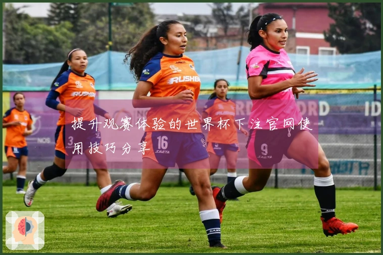 提升观赛体验的世界杯下注官网使用技巧分享