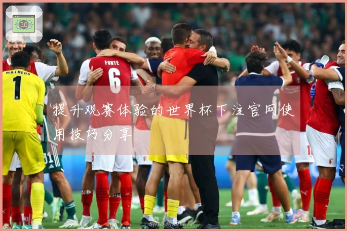 提升观赛体验的世界杯下注官网使用技巧分享