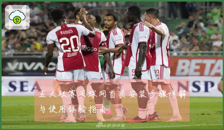 五大联赛买球网首页安装步骤详解与使用体验指南