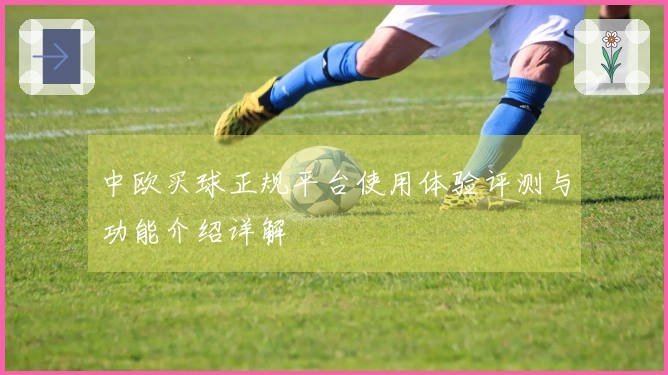 中欧买球正规平台使用体验评测与功能介绍详解